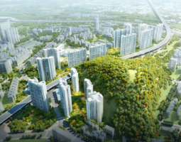 罗湖”二线插花地“